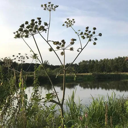 Séjour à la ferme Woonboerderij Gemonde